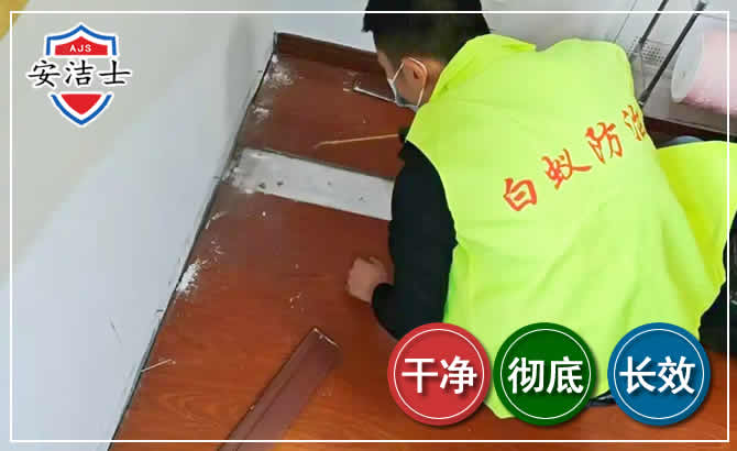 琼山区除四害现场