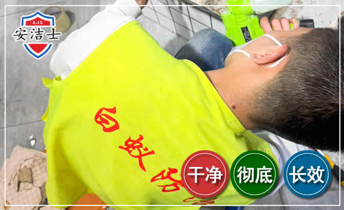 琼山区白蚁根治现场